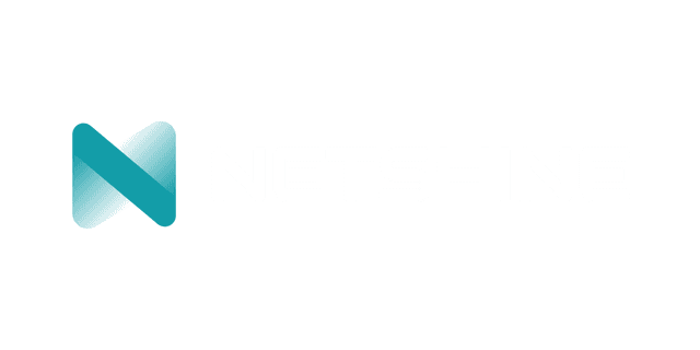 logo for netshine limited faisalabad pakistan software house